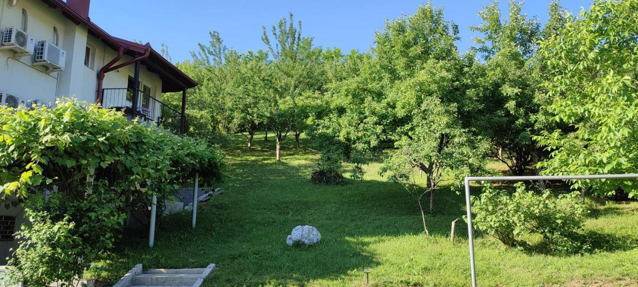 Villa Greenfield SJJ Esterno foto
